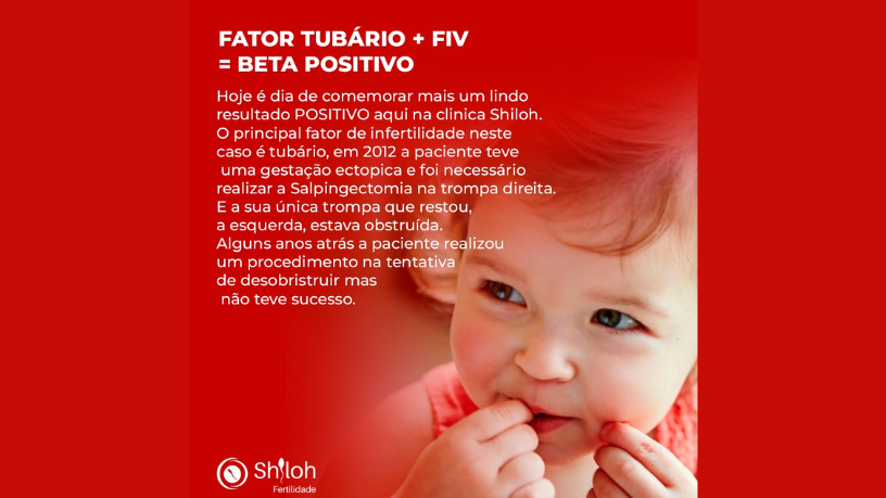 Mais do que um parâmetro anatômico, o endométrio funcional é essencial para a fertilidade — como explica Oluwatosin Tolulope Ajidahun.